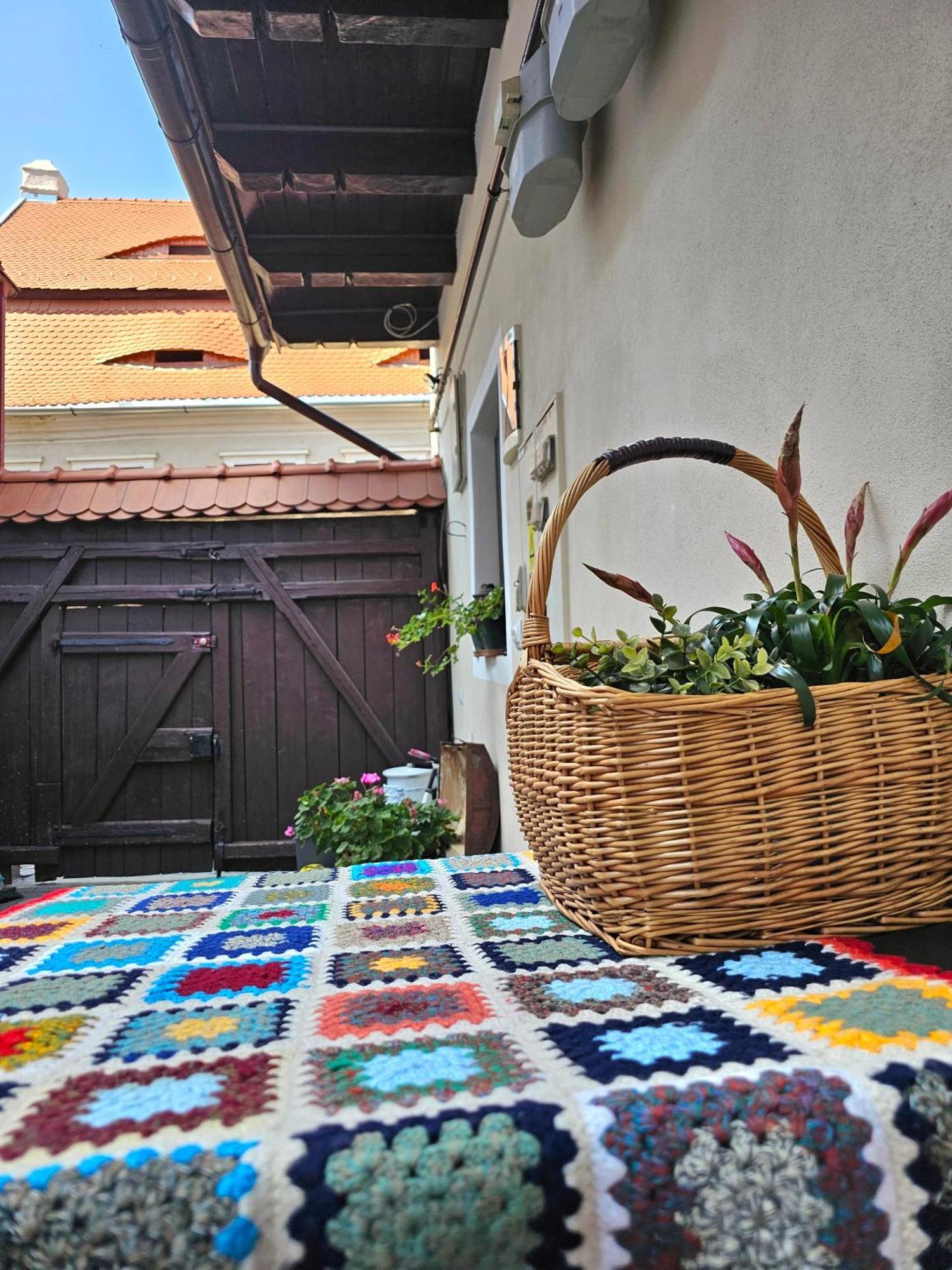 Central Cozy House Sibiu Appartement Buitenkant foto