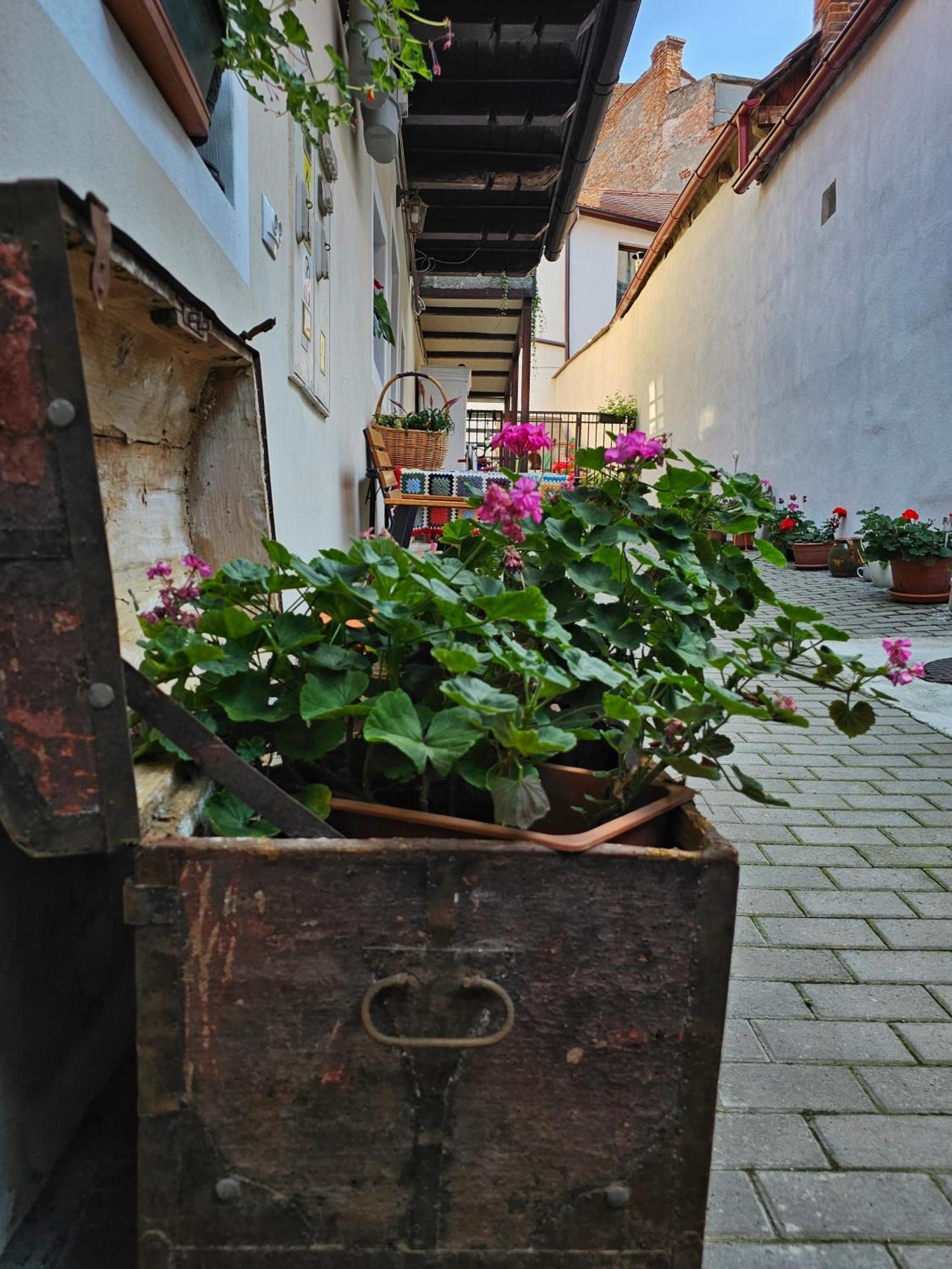 Central Cozy House Sibiu Appartement Buitenkant foto